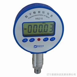 “大慶布萊迪數字壓力表“/