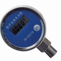 “南昌數(shù)字壓力表規(guī)格有哪“/